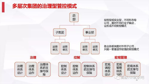 集团组织发展 组织管控17个概念和9大思维 课件